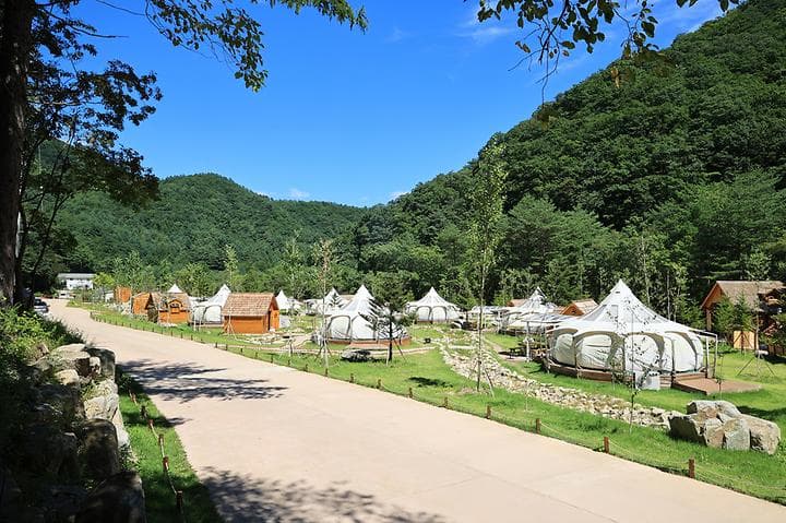 라피