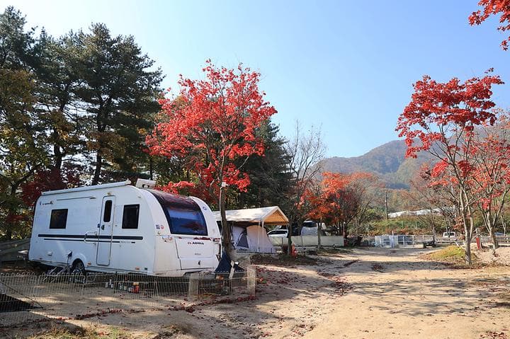 큰돌 캠핑장