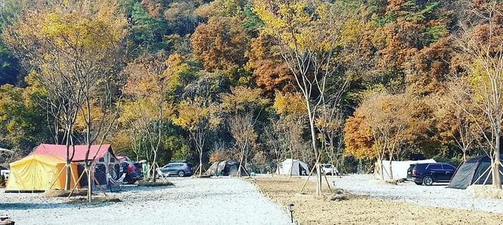 아우어캄푸스