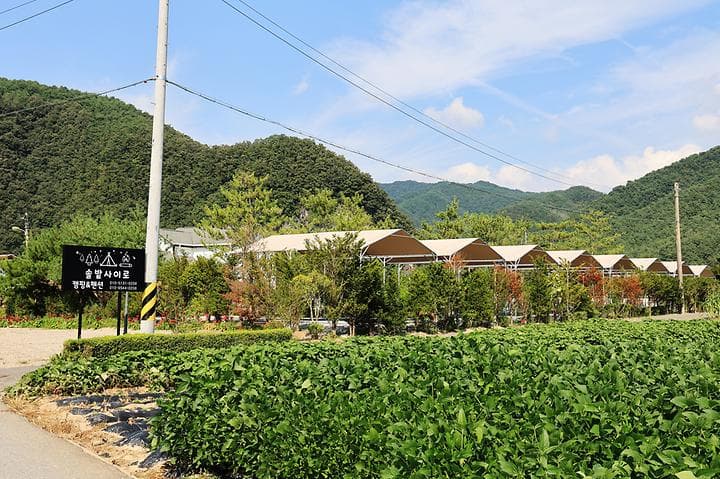 올캠프(ALL camp)