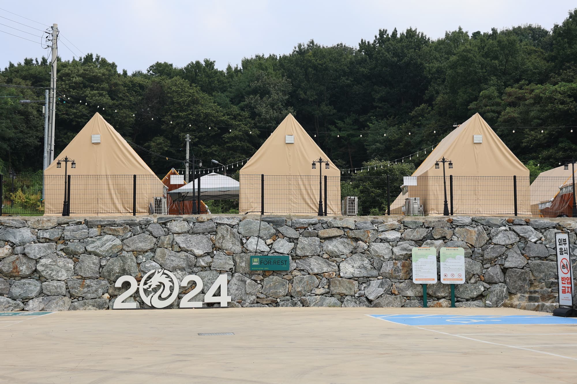 포레스트 도일 이미지 2