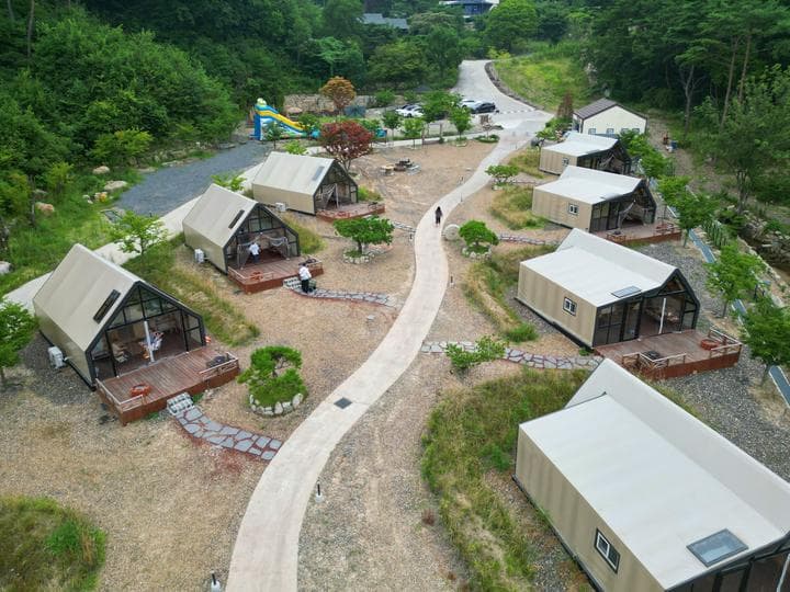 트리풀(treefull)
