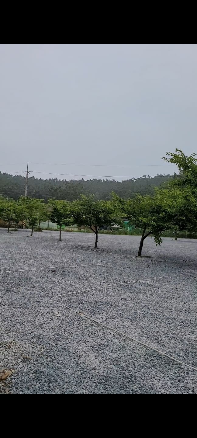 구름포해변캠핑장 이미지 3