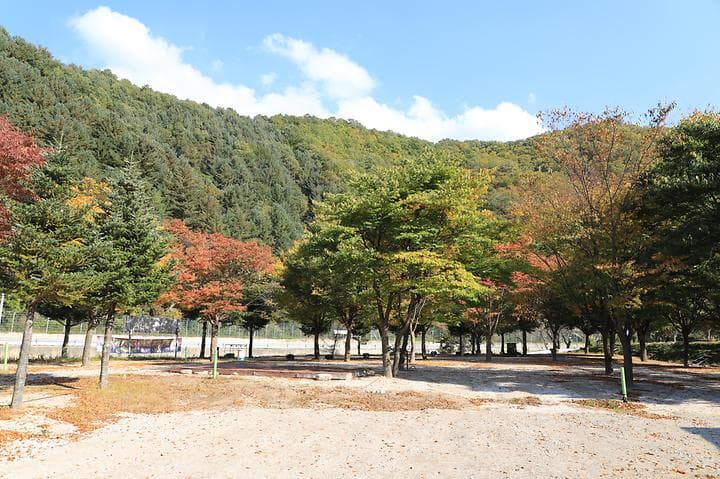 매일민박야영장