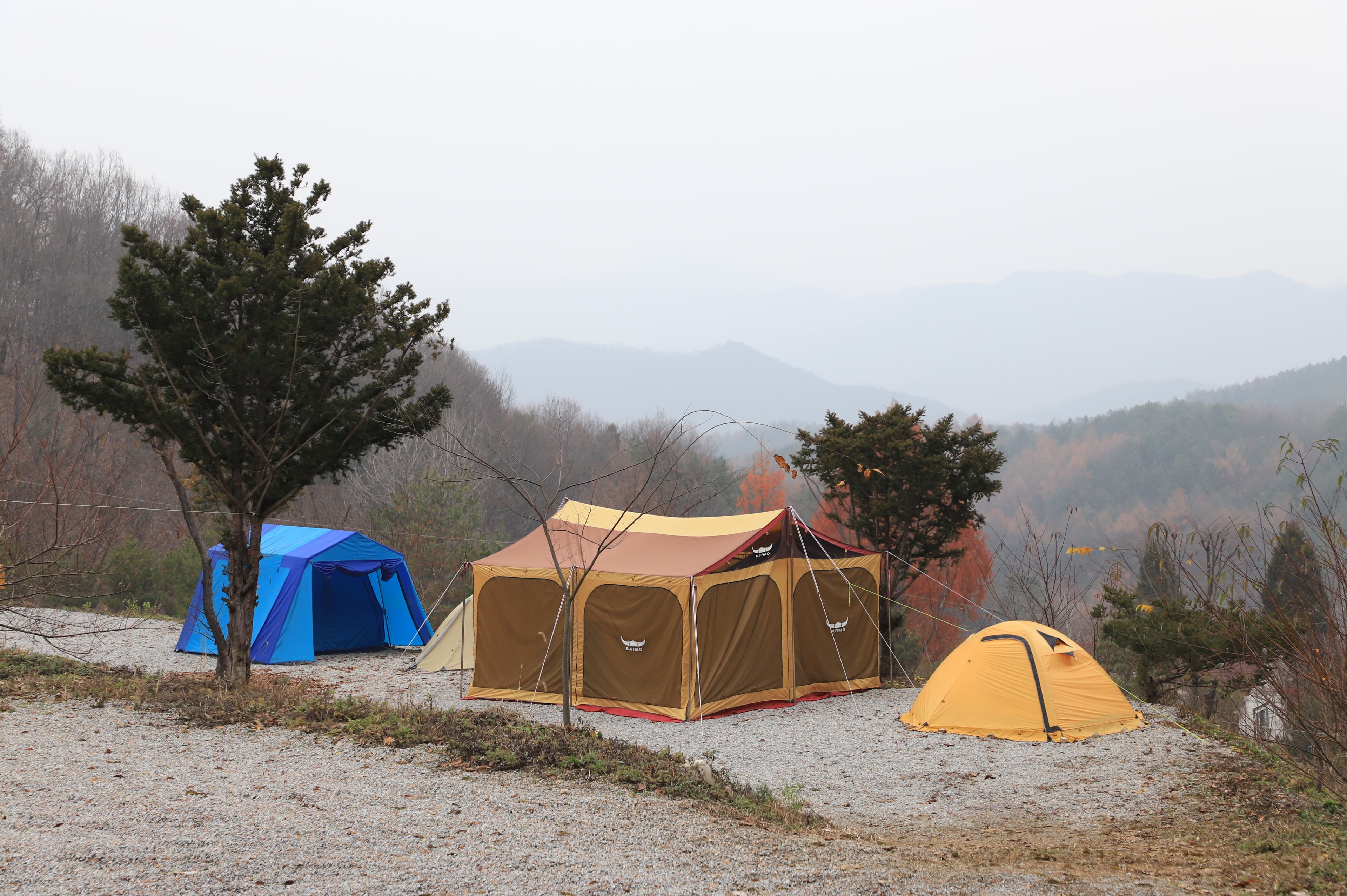 산울림관광농원 이미지 3