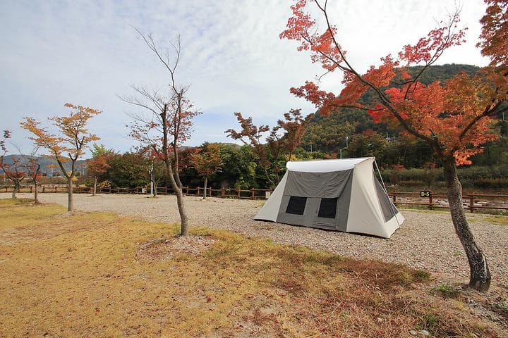 성덕댐 수달 캠핑장