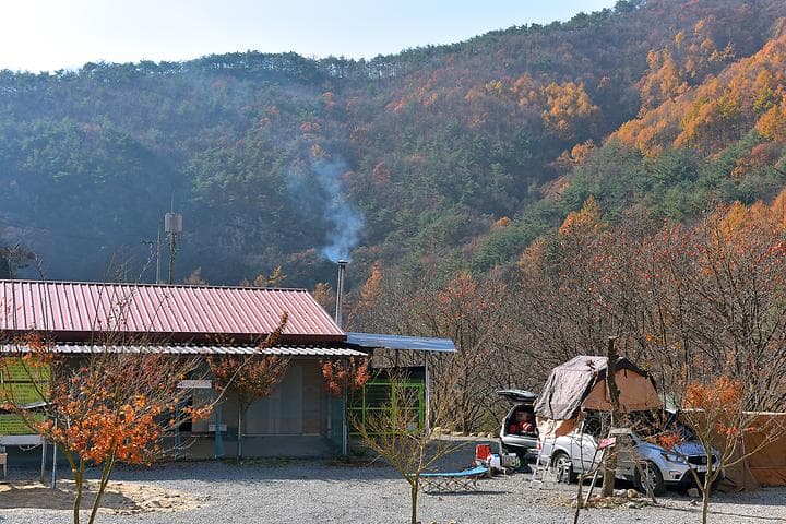 숲이조아캠핑장