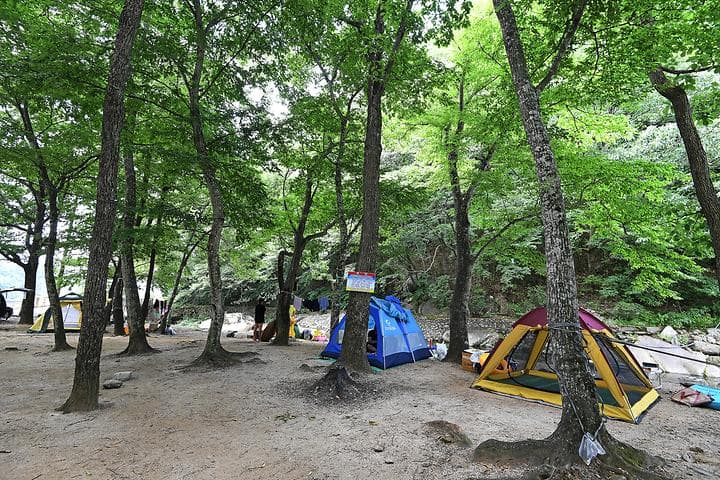계림정야영장