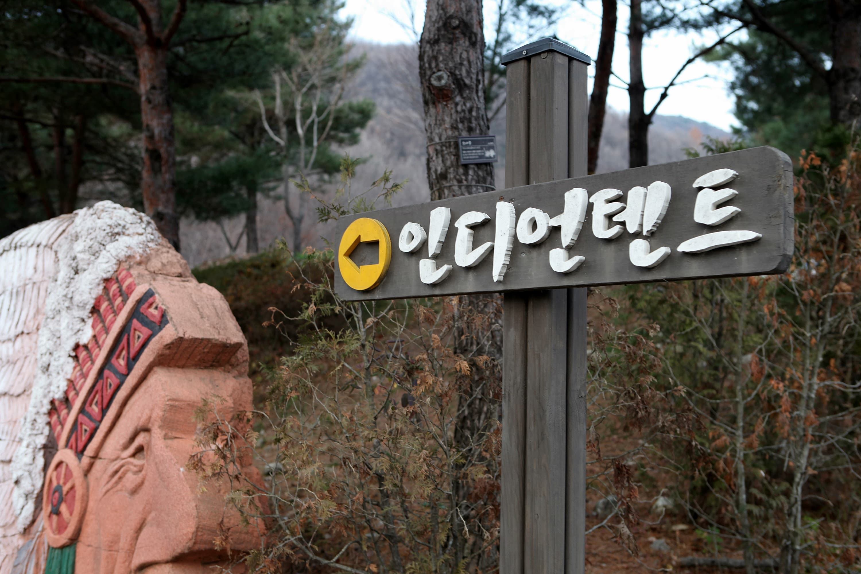 용인자연휴양림 이미지 3