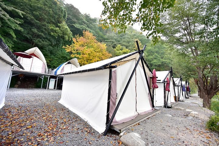 하늘숲글램핑 파크