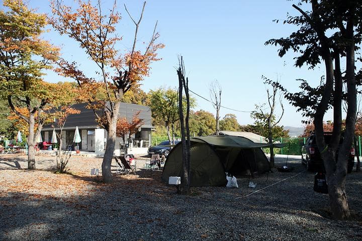 영수야 놀자