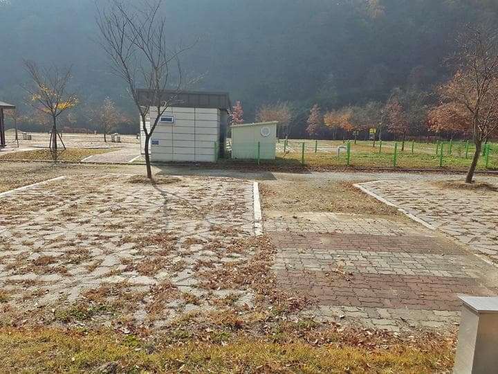 원남지야영장