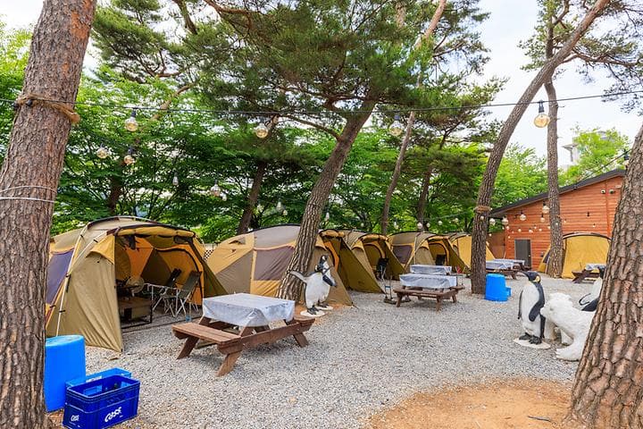 포시즌오토캠핑장