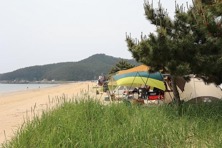 해씨유