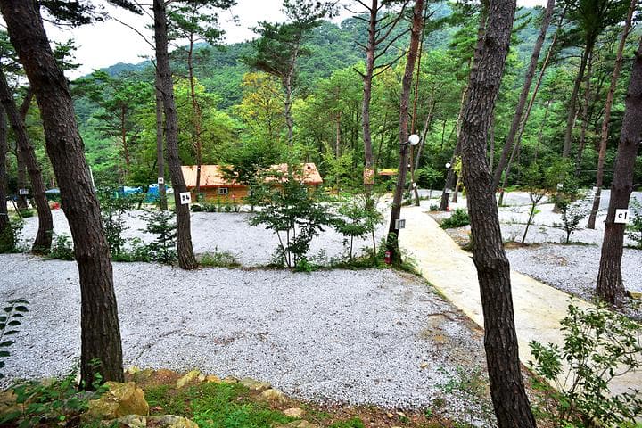 아리솔캠핑장
