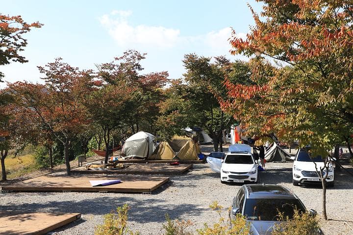 로하스캠핑