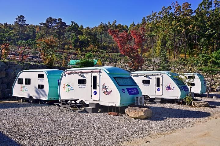 로하스캠핑