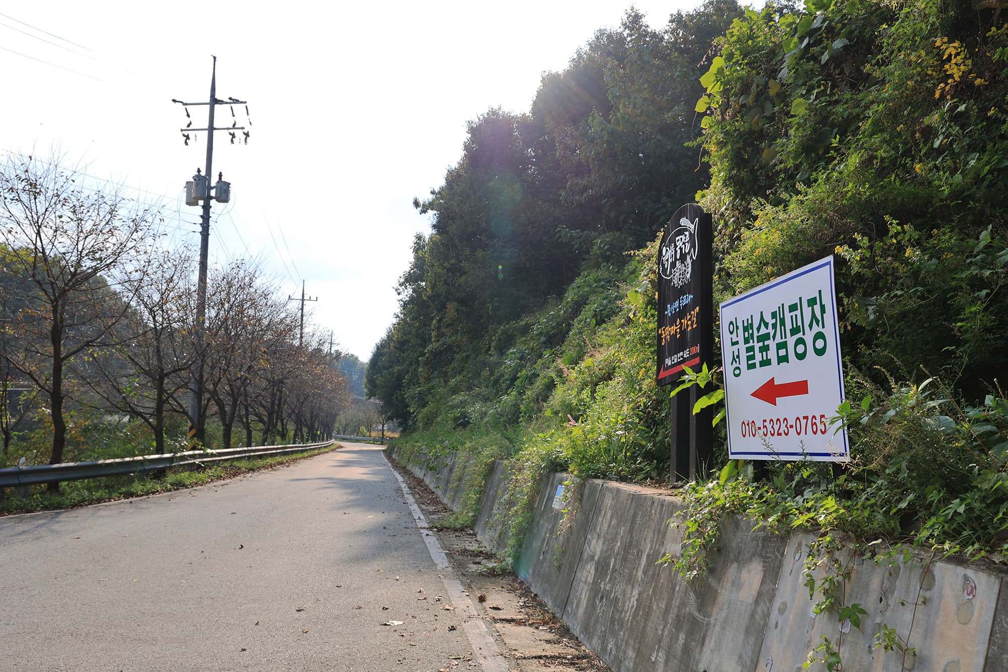 안성 별숲 캠핑장 이미지 3
