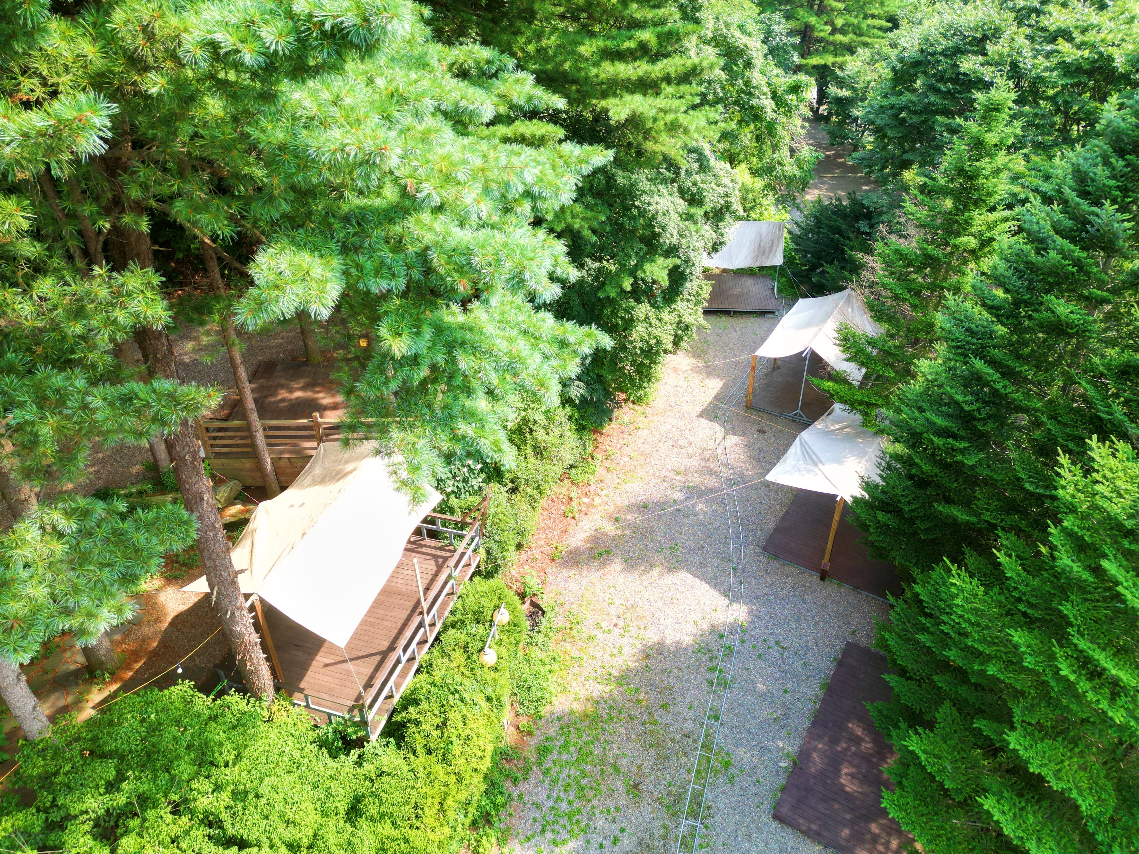 유명산 258