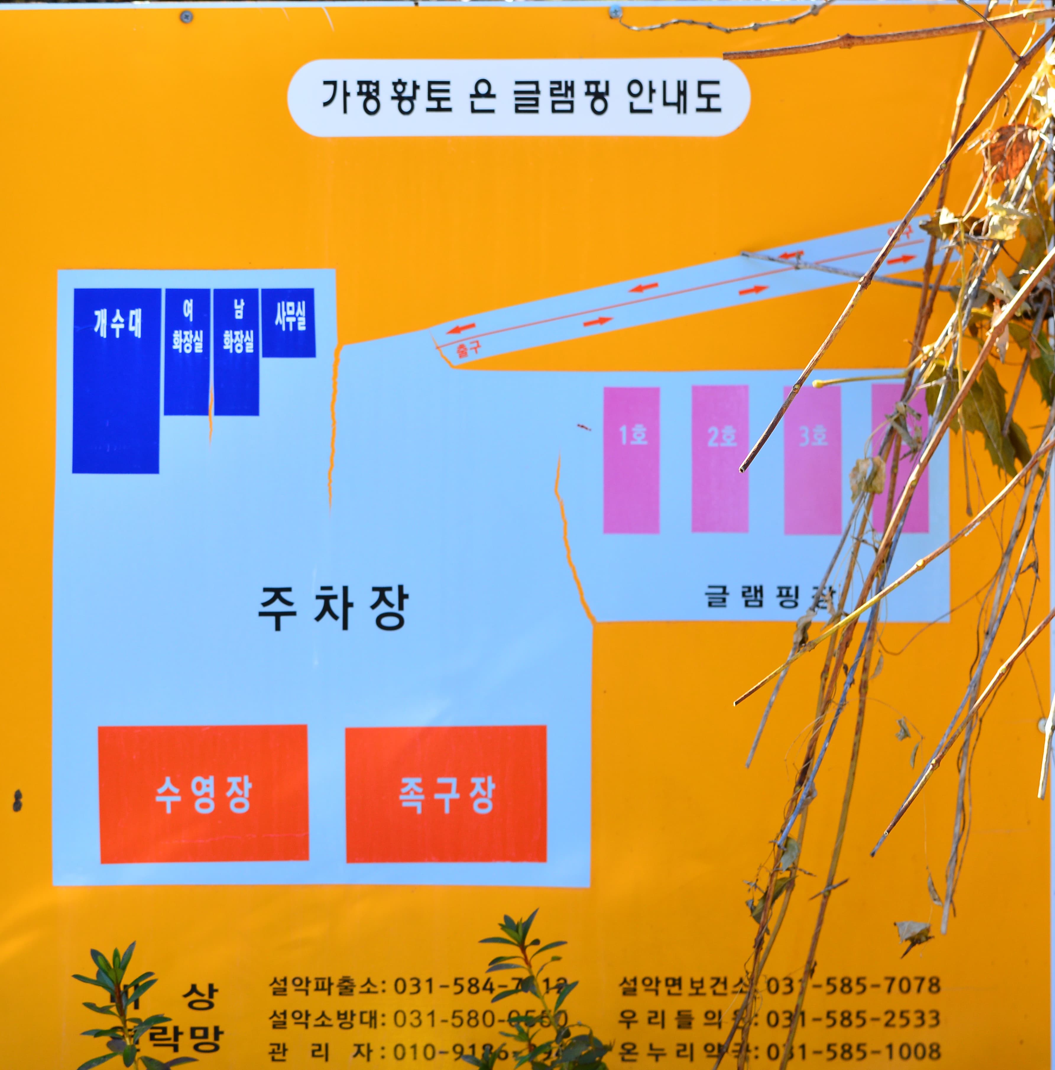 숨쉬는고래