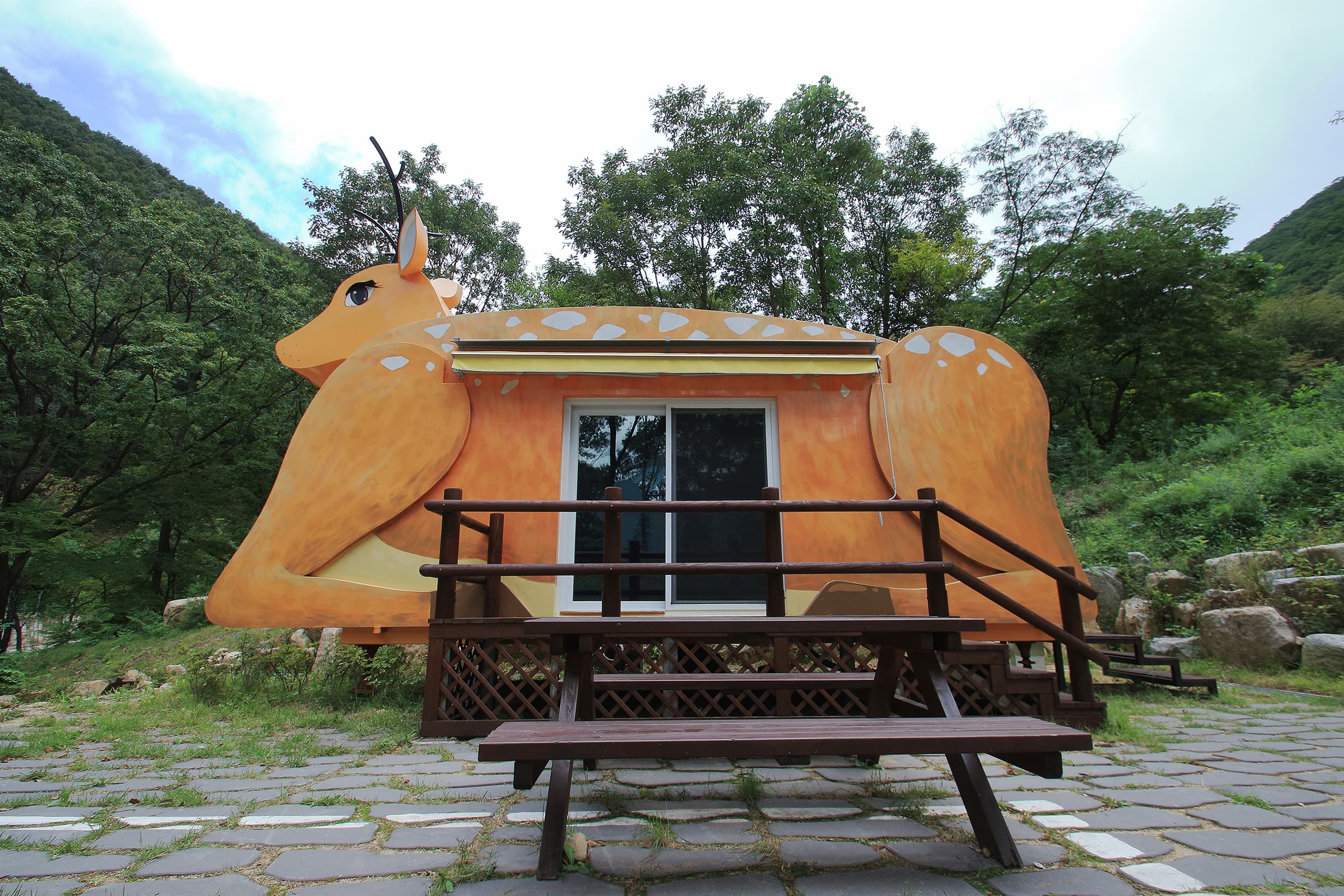 팔공산금화자연휴양림 이미지 3