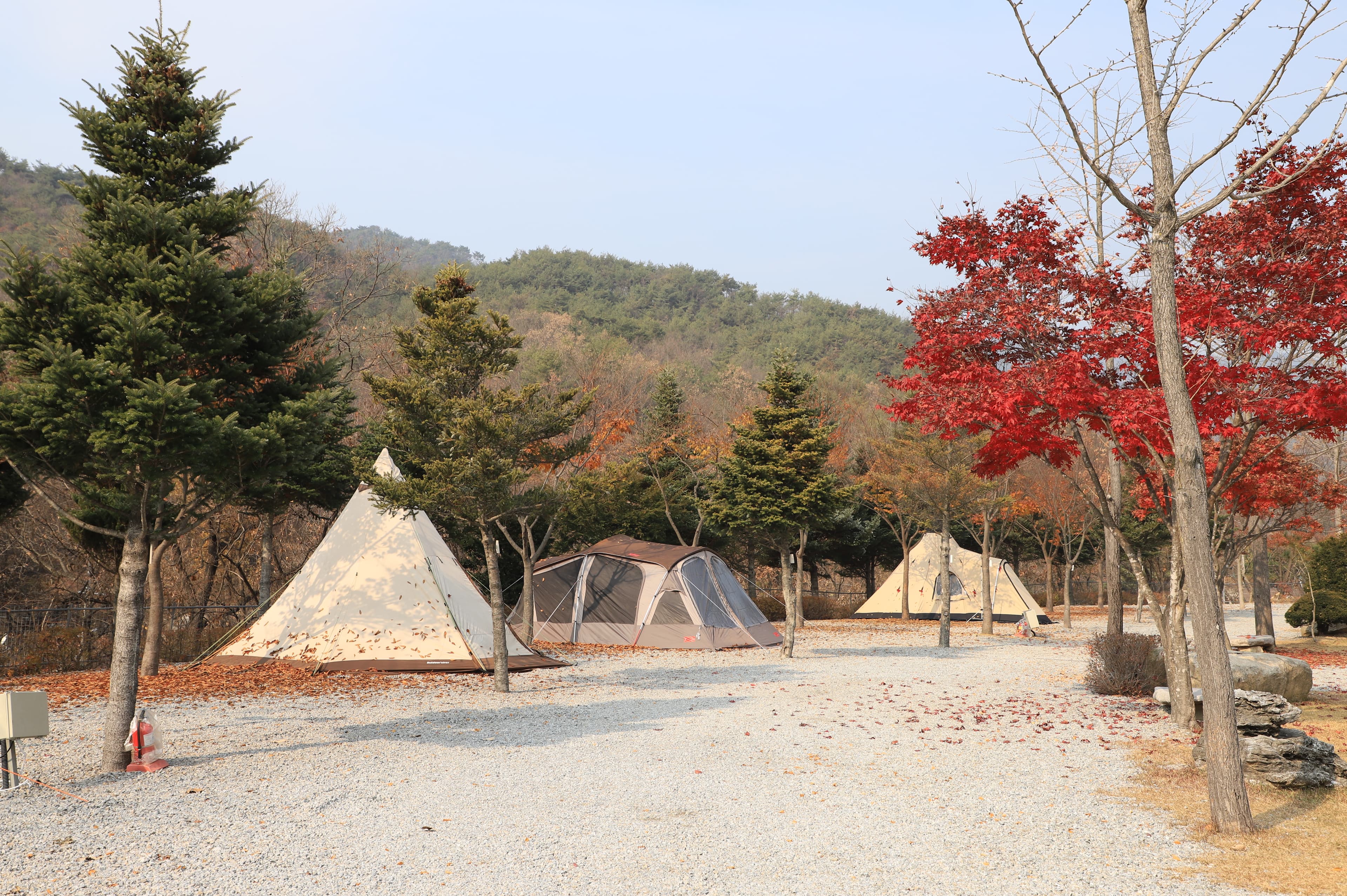 프라임캠핑장 이미지 2