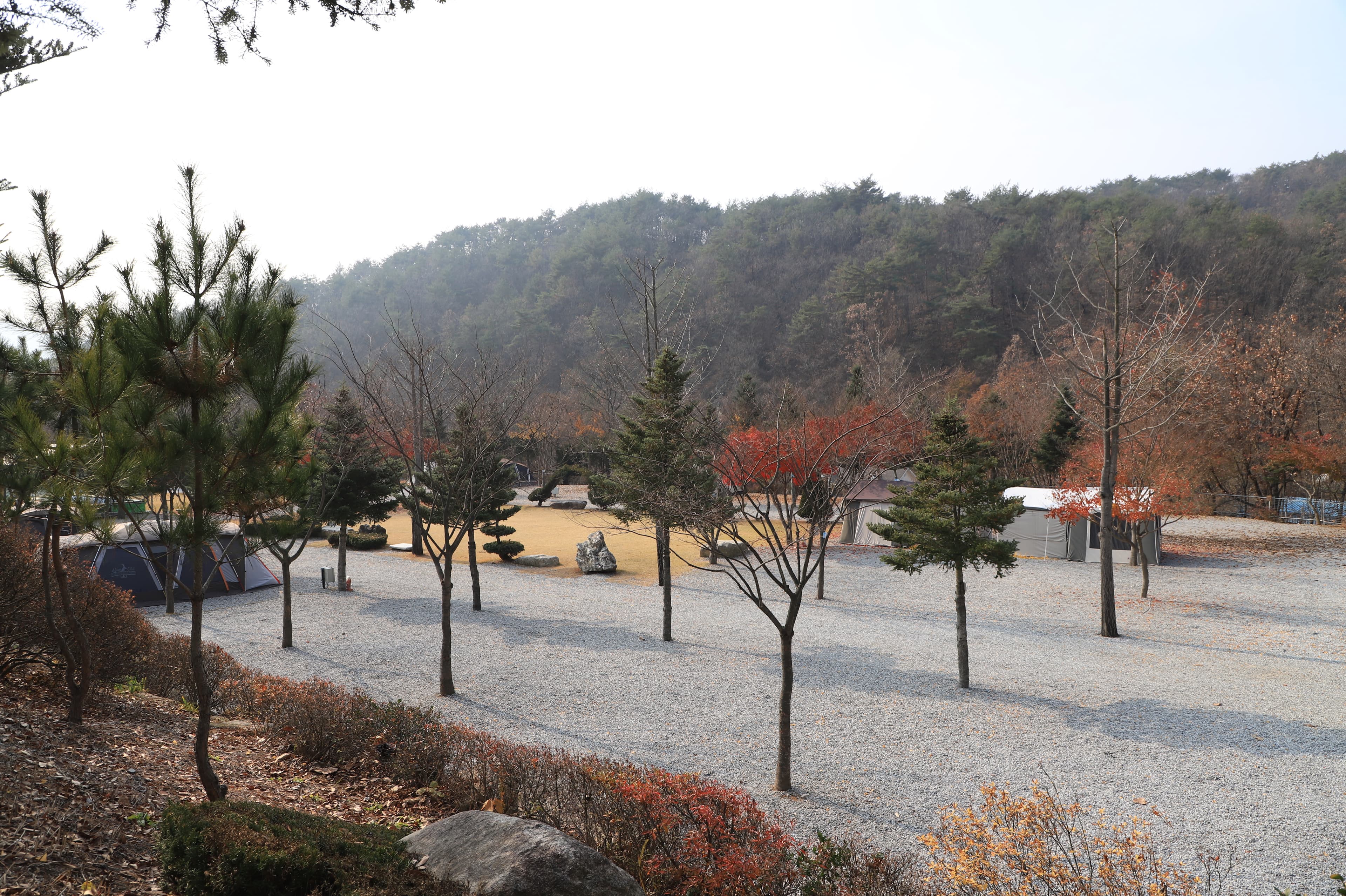 프라임캠핑장 이미지 3