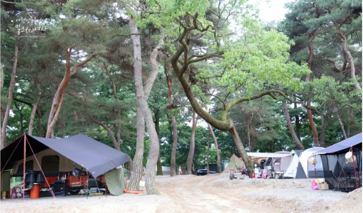 후평숲캠핑장 이미지 2