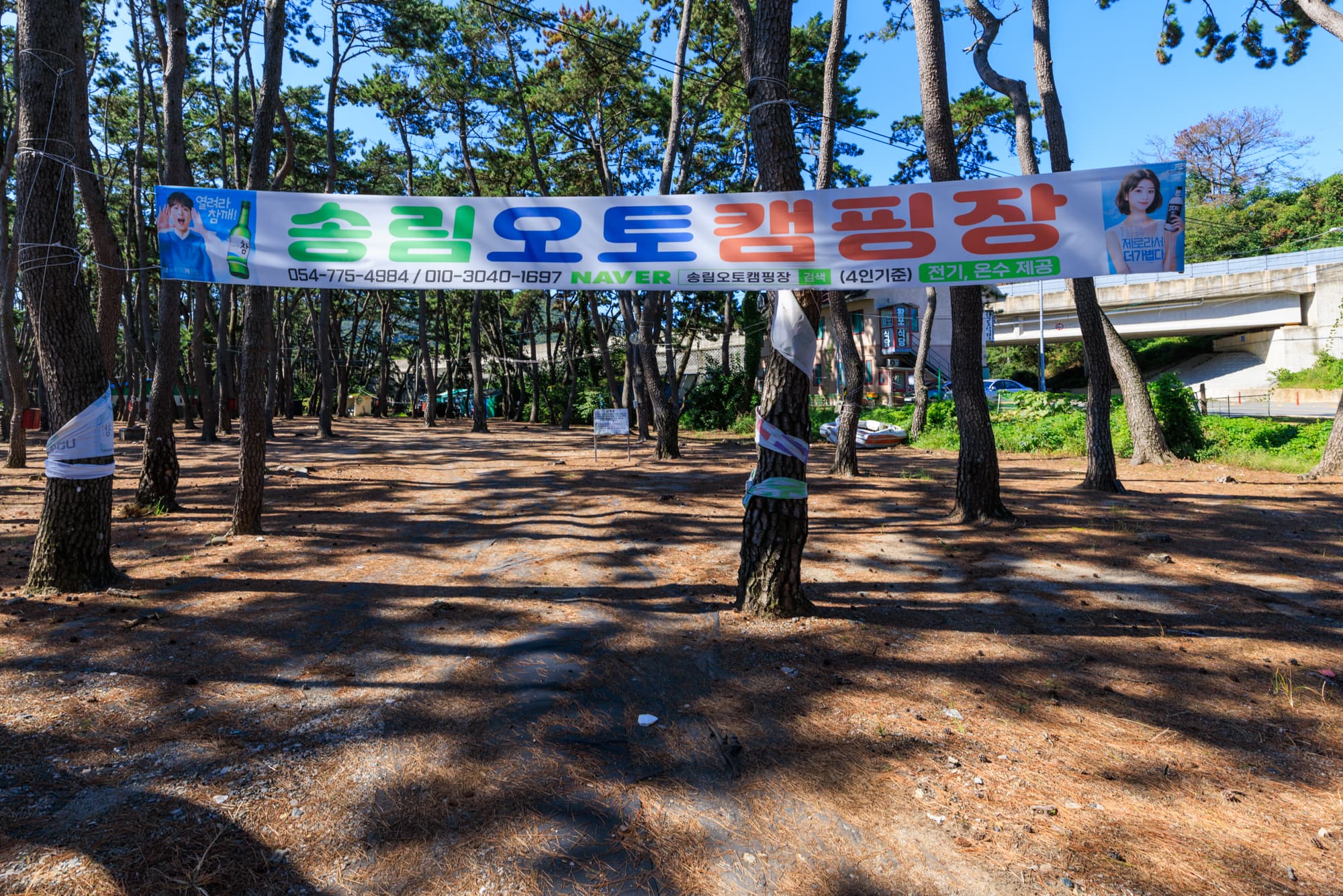 송림오토캠핑장 이미지 2