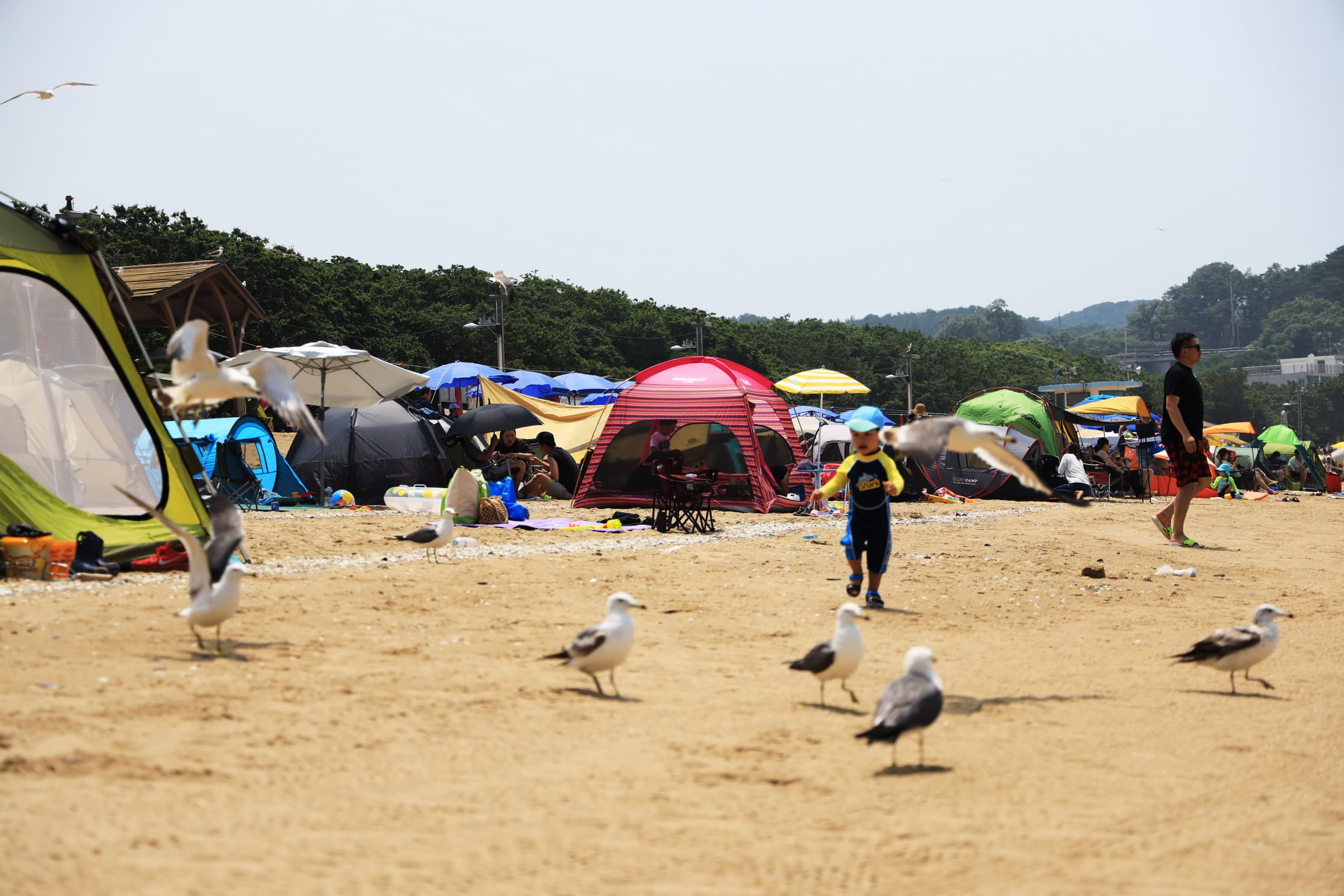 십리포해수욕장 야영장 이미지 3