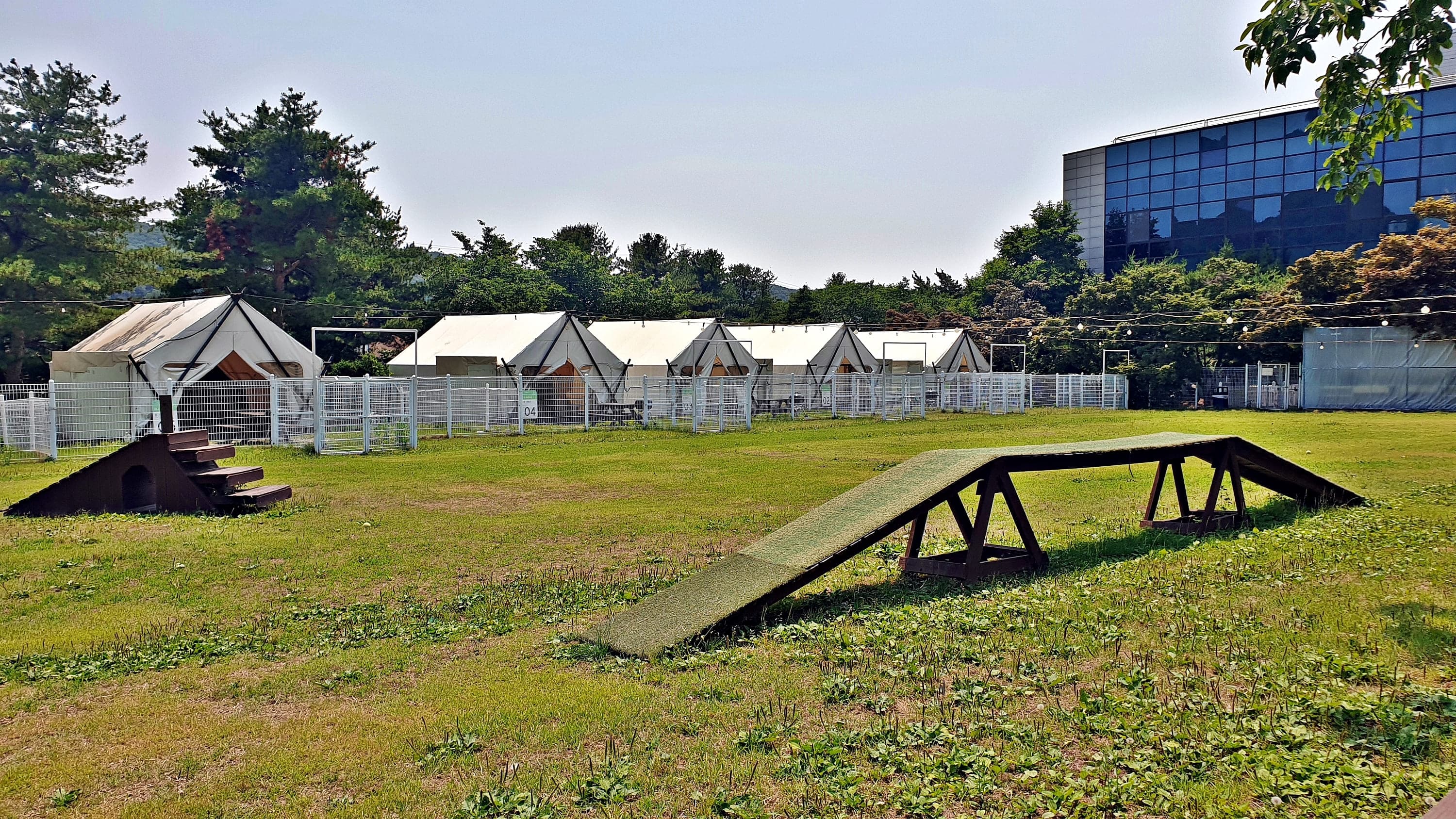 골드펫리조트 이미지 2